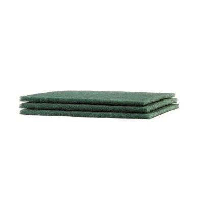 A100662-Estropajo verde cortado.jpg A100662-Estropajo verde cortado.jpg
