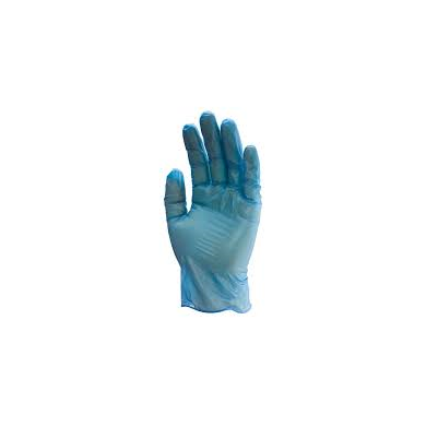 A13284-GUANTEVINILOAZULSPOLVOTSCAJITA100UNIDS.JPG A13284-GUANTEVINILOAZULSPOLVOTSCAJITA100UNIDS.JPG