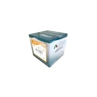 A15923-H331.JPG A15923-H331.JPG