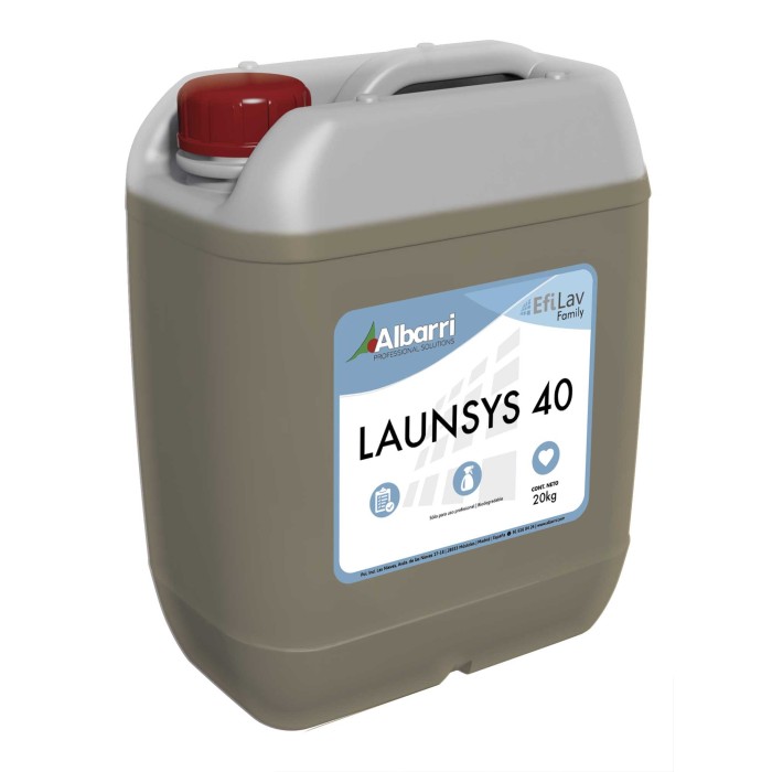 A101703-LAUNSYS40.JPG