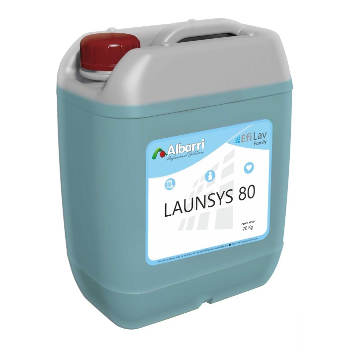 A101704-LAUNSYS8020KG.JPG