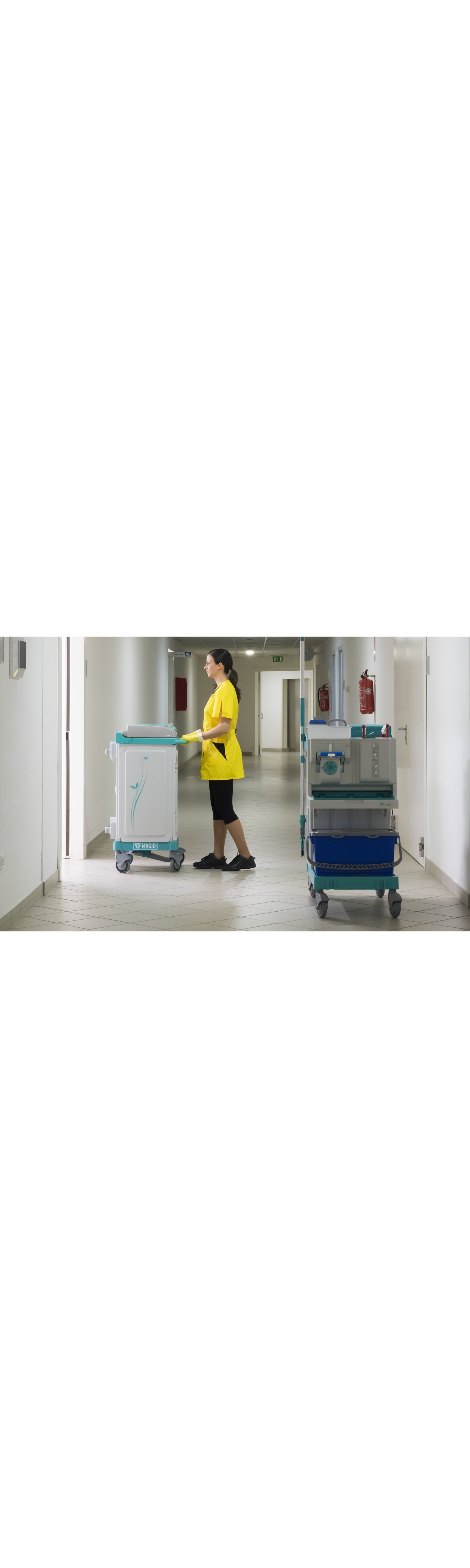 Equipamiento de limpieza profesional: nuestros productos más demandados Equipamiento de limpieza profesional: nuestros productos más demandados