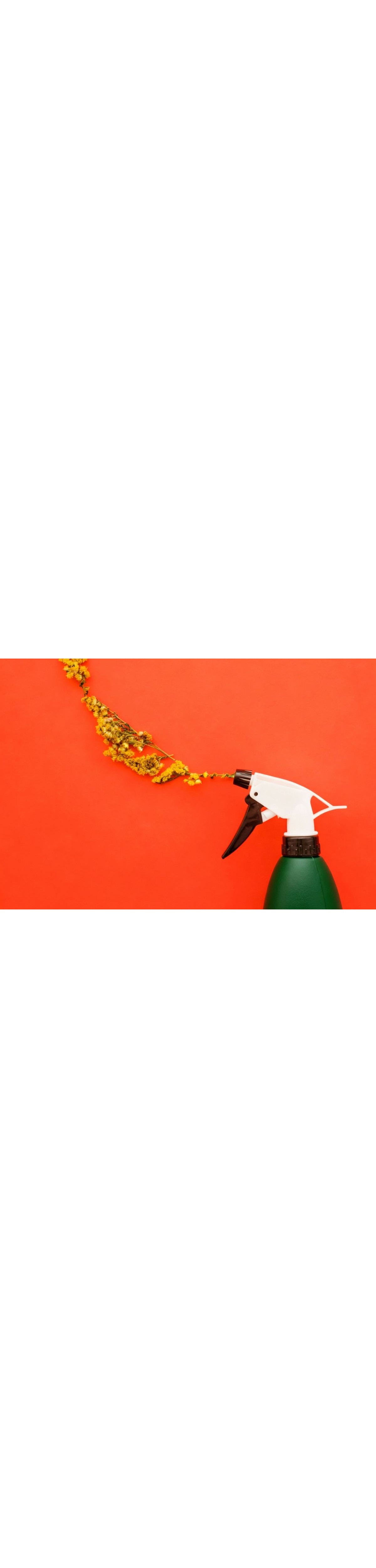 ¿Qué es el marketing olfativo y cómo puede ayudarte a vender más?