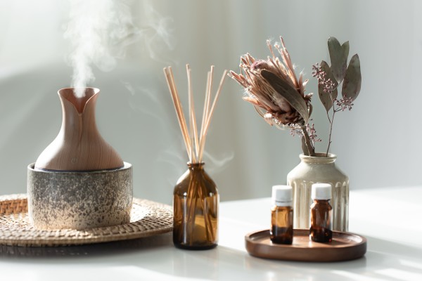 Ambientación profesional: crea entornos saludables con aromas que también higienizan 